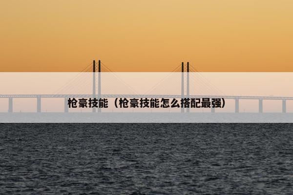 枪豪技能（枪豪技能怎么搭配最强）