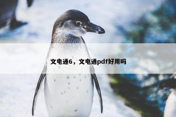文电通6，文电通pdf好用吗