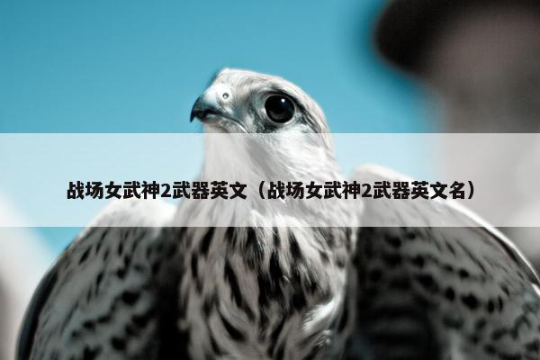 战场女武神2武器英文（战场女武神2武器英文名）