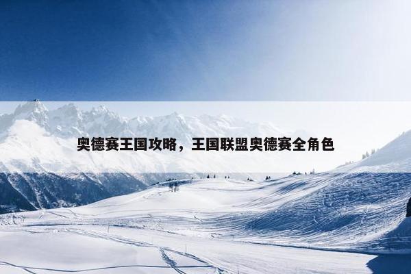 奥德赛王国攻略，王国联盟奥德赛全角色