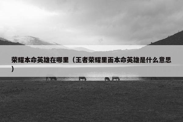 荣耀本命英雄在哪里（王者荣耀里面本命英雄是什么意思）