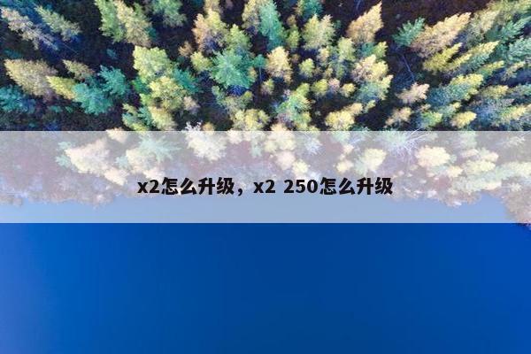 x2怎么升级，x2 250怎么升级