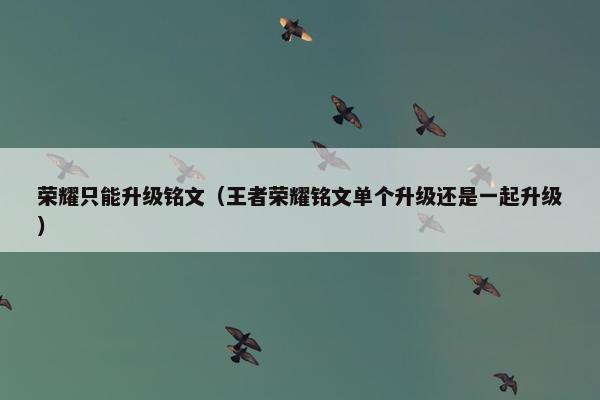荣耀只能升级铭文（王者荣耀铭文单个升级还是一起升级）