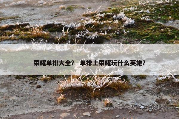 荣耀单排大全？ 单排上荣耀玩什么英雄？