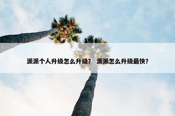 派派个人升级怎么升级？ 派派怎么升级最快？