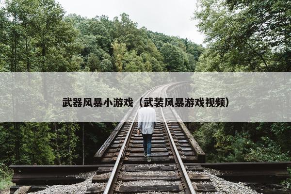 武器风暴小游戏（武装风暴游戏视频）