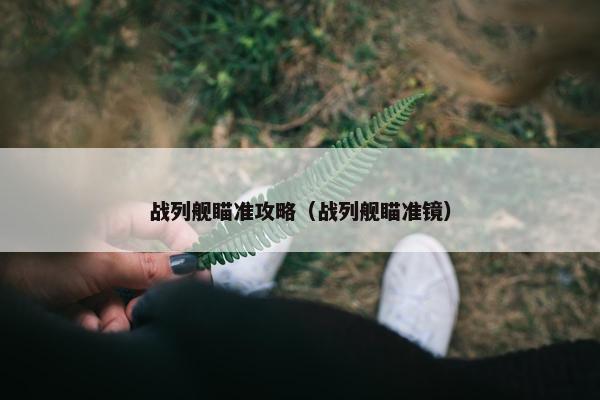 战列舰瞄准攻略（战列舰瞄准镜）