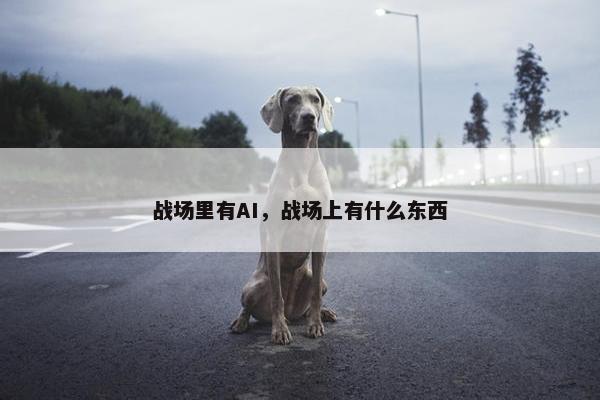 战场里有AI，战场上有什么东西