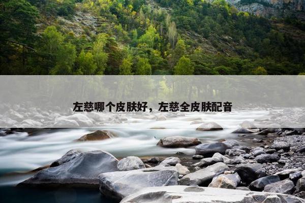 左慈哪个皮肤好，左慈全皮肤配音