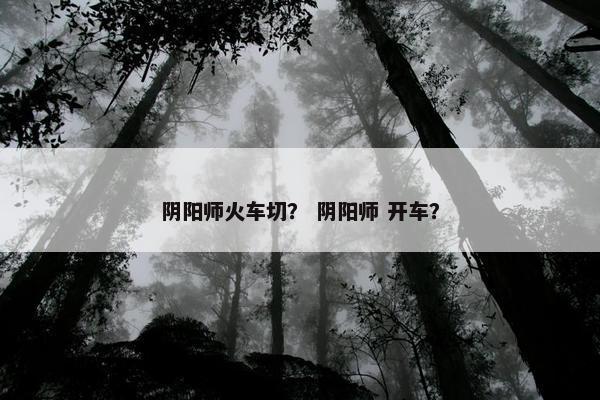 阴阳师火车切？ 阴阳师 开车？