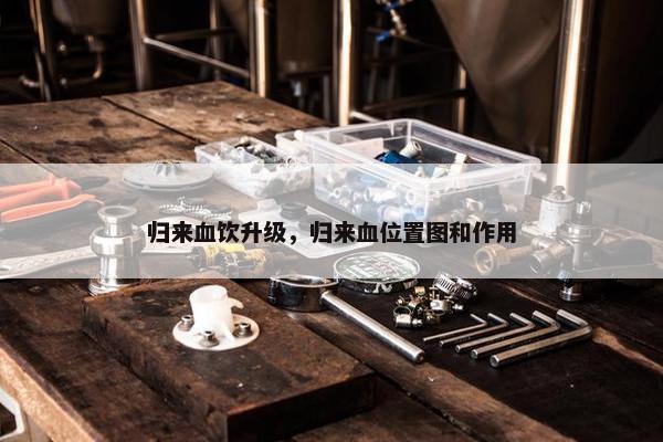 归来血饮升级，归来血位置图和作用