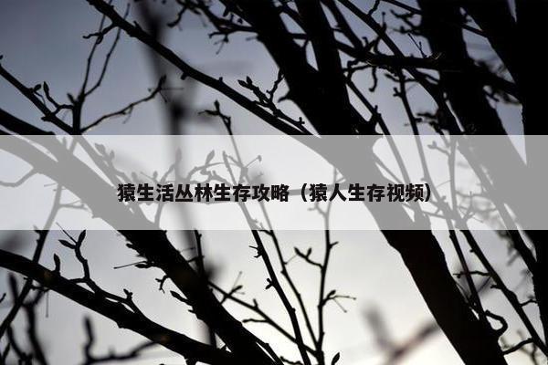 猿生活丛林生存攻略（猿人生存视频）