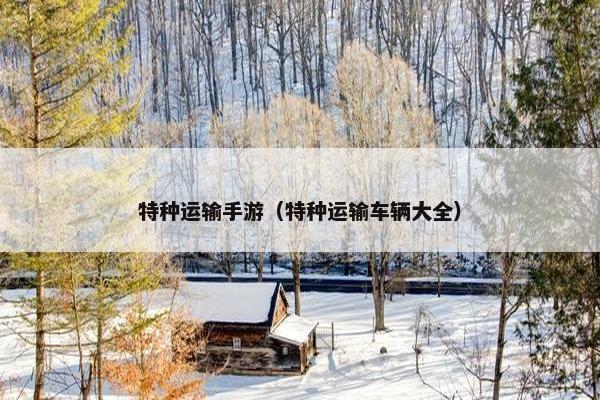 特种运输手游（特种运输车辆大全）
