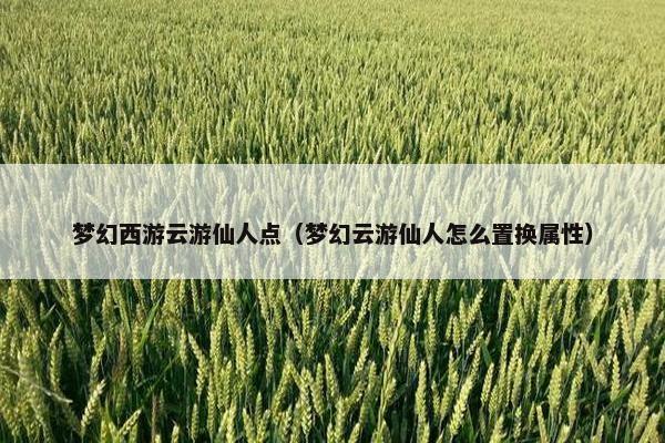 梦幻西游云游仙人点（梦幻云游仙人怎么置换属性）