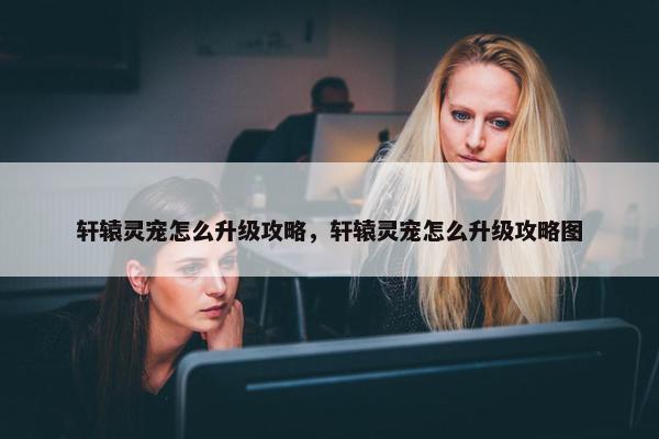 轩辕灵宠怎么升级攻略，轩辕灵宠怎么升级攻略图