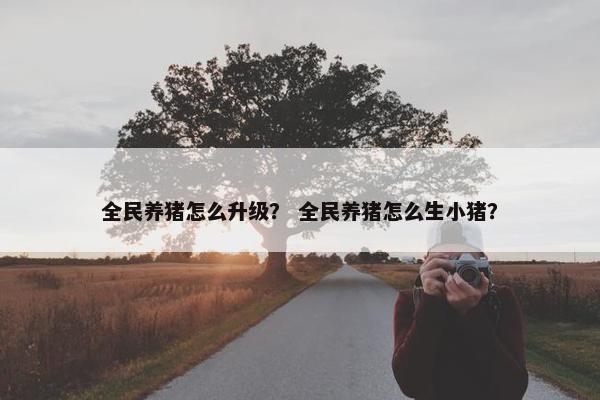 全民养猪怎么升级？ 全民养猪怎么生小猪？