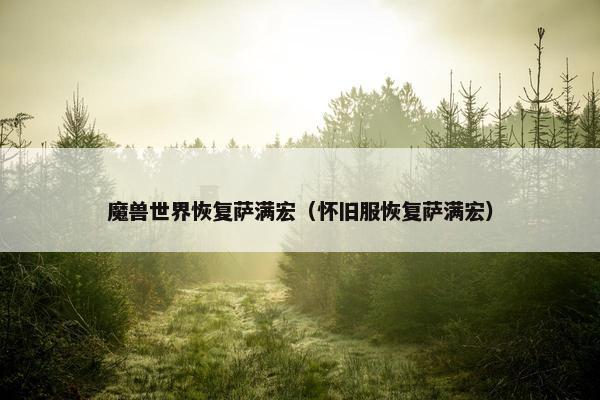 魔兽世界恢复萨满宏（怀旧服恢复萨满宏）