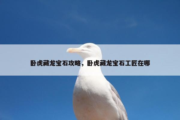 卧虎藏龙宝石攻略，卧虎藏龙宝石工匠在哪