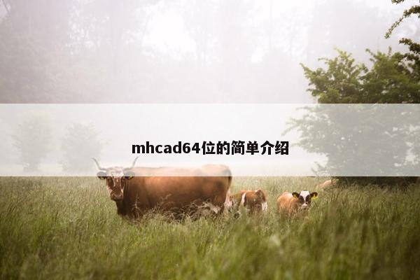 mhcad64位的简单介绍