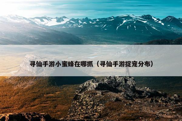 寻仙手游小蜜蜂在哪抓(寻仙手游捉宠分布) 寻仙手游小蜜蜂在哪抓(寻仙手游捉宠分布)