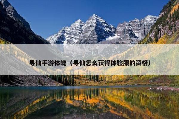 寻仙手游体魄（寻仙怎么获得体验服的资格）