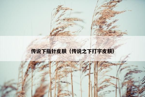 传说下指针皮肤（传说之下打字皮肤）