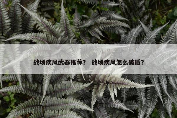 战场疾风武器推荐？ 战场疾风怎么破盾？