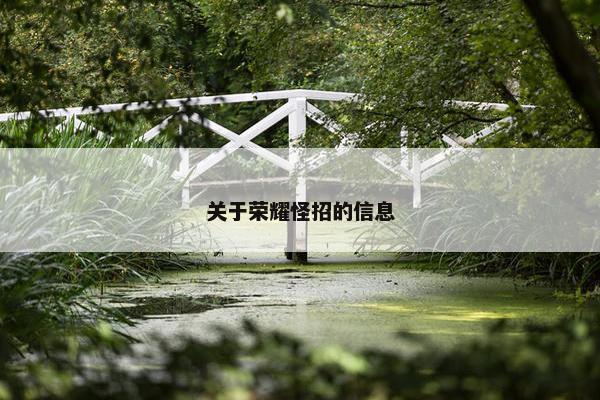 关于荣耀怪招的信息