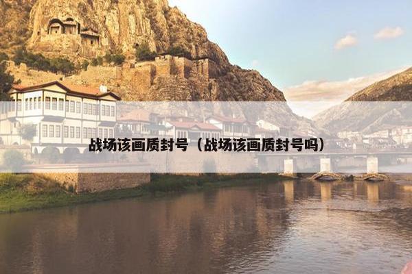 战场该画质封号（战场该画质封号吗）