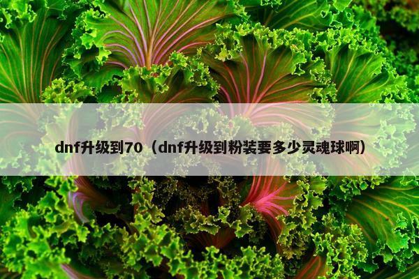 dnf升级到70（dnf升级到粉装要多少灵魂球啊）