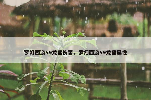 梦幻西游59龙宫伤害，梦幻西游59龙宫属性