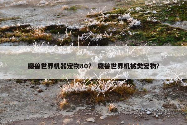 魔兽世界机器宠物80？ 魔兽世界机械类宠物？