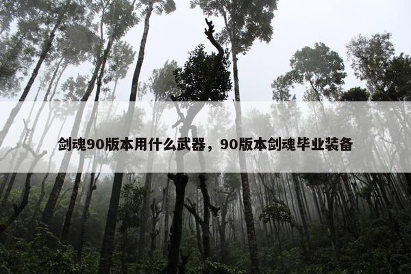 剑魂90版本用什么武器，90版本剑魂毕业装备