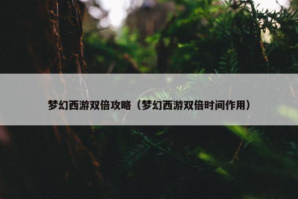 梦幻西游双倍攻略（梦幻西游双倍时间作用）