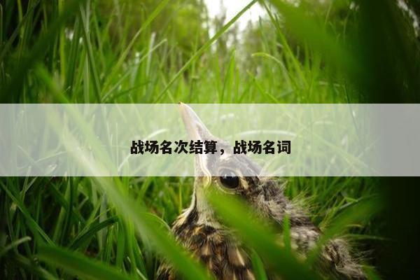 战场名次结算，战场名词