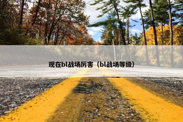 现在bl战场厉害（bl战场等级）