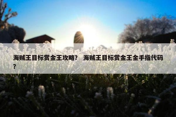 海贼王目标赏金王攻略？ 海贼王目标赏金王金手指代码？