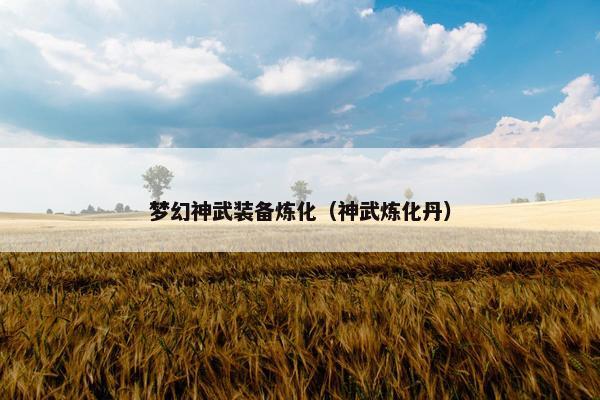 梦幻神武装备炼化（神武炼化丹）