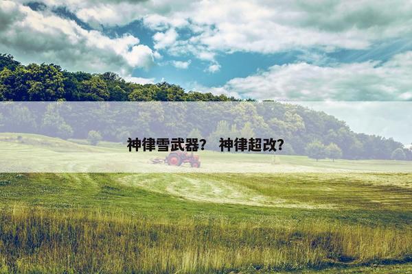 神律雪武器？ 神律超改？