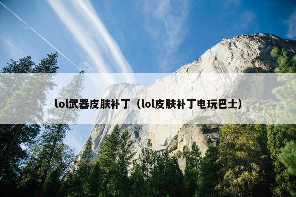 lol武器皮肤补丁（lol皮肤补丁电玩巴士）