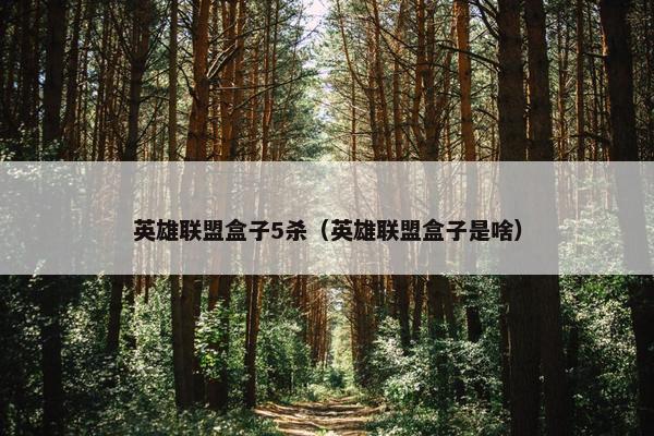 英雄联盟盒子5杀（英雄联盟盒子是啥）
