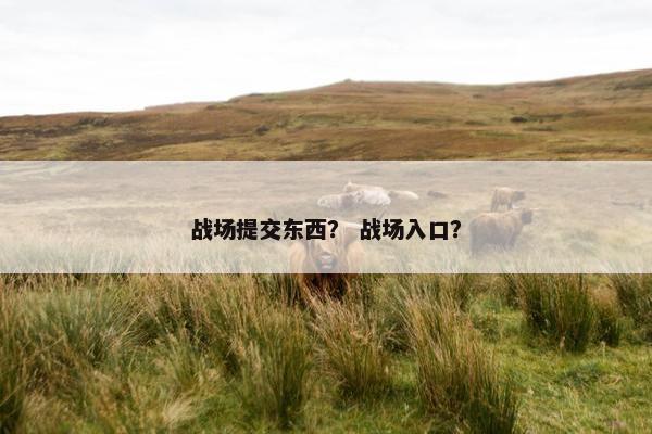 战场提交东西？ 战场入口？