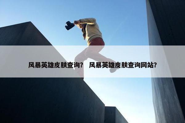 风暴英雄皮肤查询？ 风暴英雄皮肤查询网站？