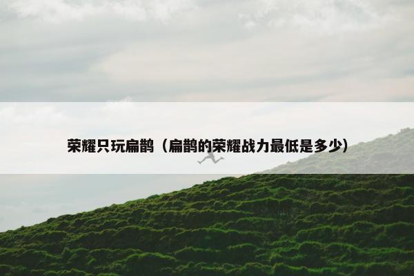 荣耀只玩扁鹊（扁鹊的荣耀战力最低是多少）