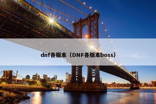 dnf各版本（DNF各版本boss）