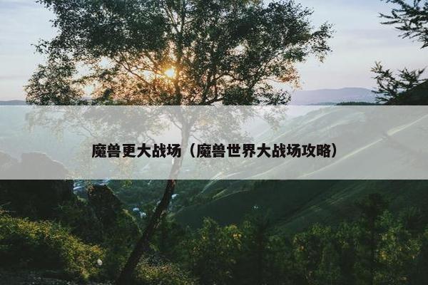 魔兽更大战场（魔兽世界大战场攻略）