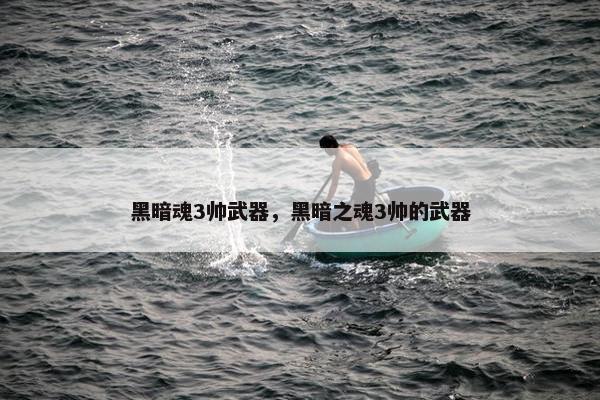 黑暗魂3帅武器，黑暗之魂3帅的武器