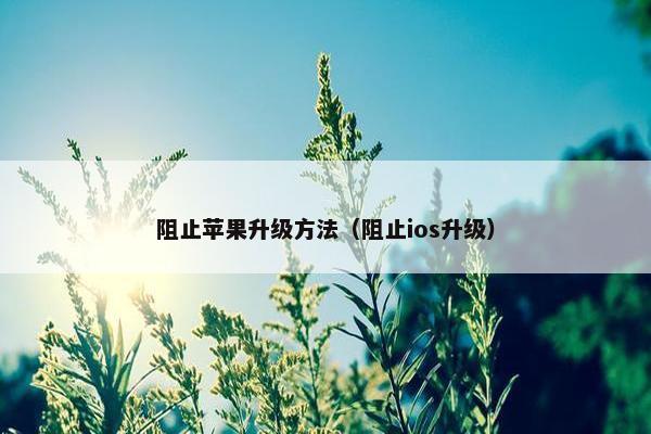 阻止苹果升级方法（阻止ios升级）