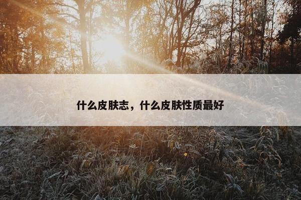 什么皮肤志，什么皮肤性质最好