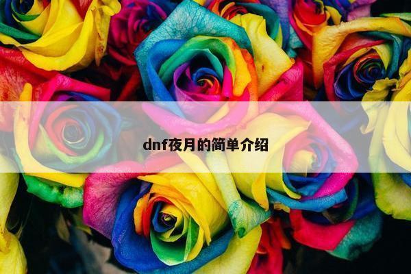 dnf夜月的简单介绍